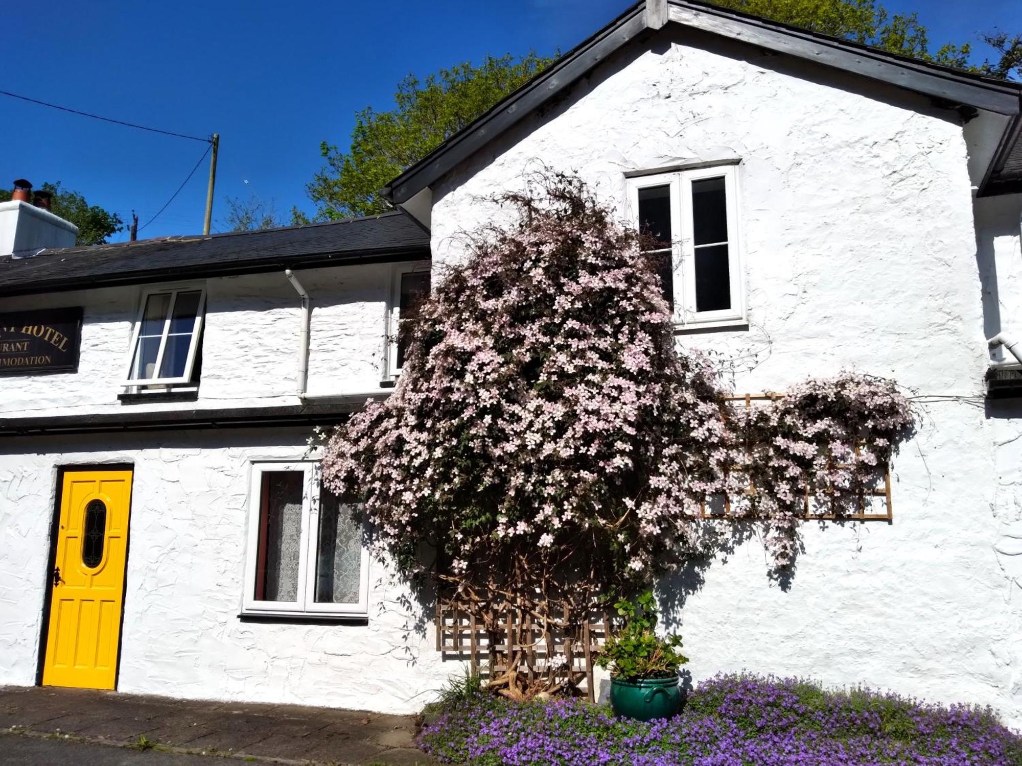 Pen-Y-Bont Hotel Tal-y-llyn Extérieur photo